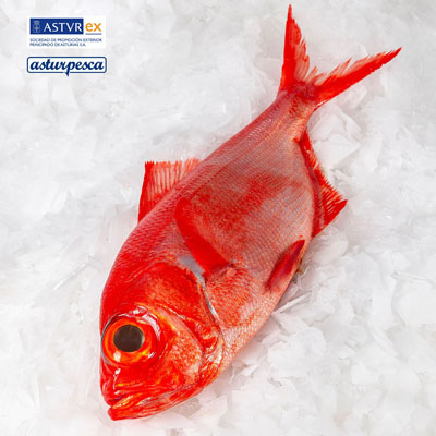 【推薦】西班牙Astur...